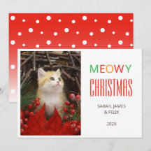 God Jul Söt Katt Bild Djurälskare Husdjur