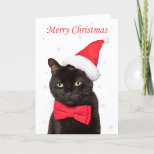 God Jul Söt Katt i Tomtehatt och Flibberstjärna Helgkort
