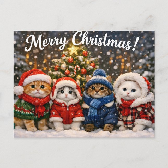 God Jul Söta Katter i Vintertröjor Helg Vykort (Framsida)