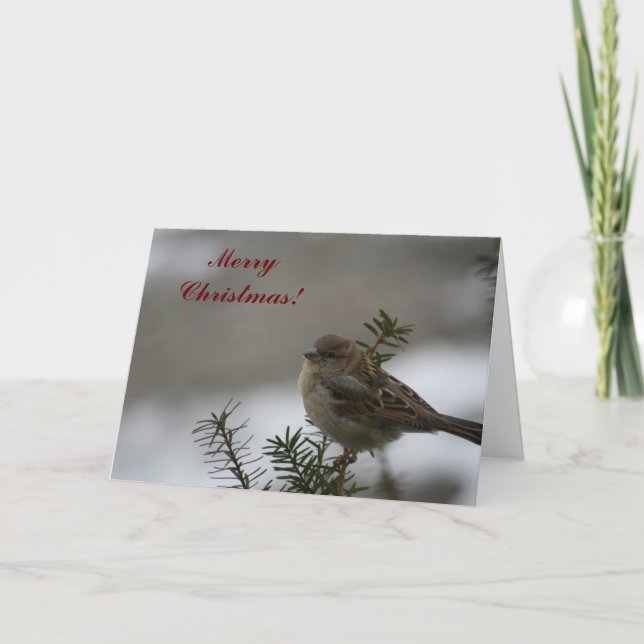 God jul Sparrow! Helgkort (Framsida)