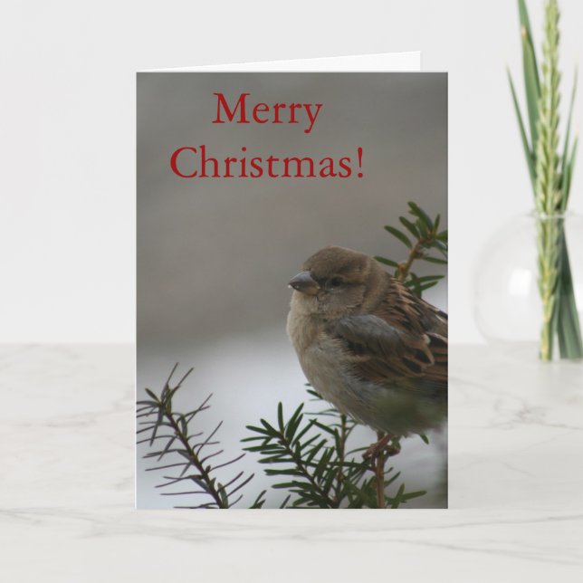 God jul Sparrow! med skript Helgkort (Framsida)