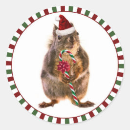God jul Squirrel Stickers Runt Klistermärke