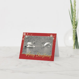 God jul Svan Helgkort