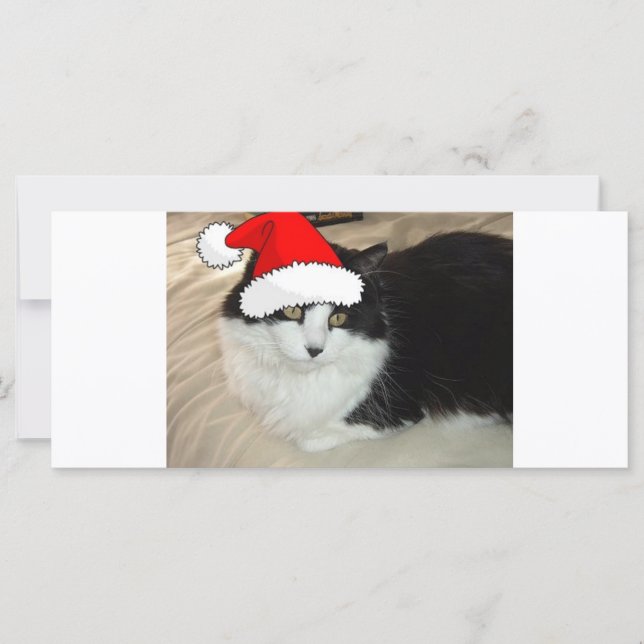 God jul, svart och vit kitten (Framsida)