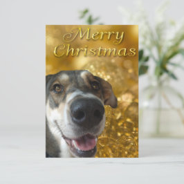 God jul - tackkort tack kort