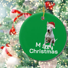God jul Terrier Hund Merry Hälsning Julgransprydnad Keramik