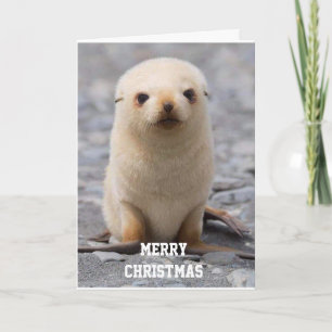 GOD JUL "TILL DIG!" FRÅN "ME" HELGKORT