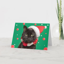 God Jul till någon Rolig katt i tomtehatt Helgkort