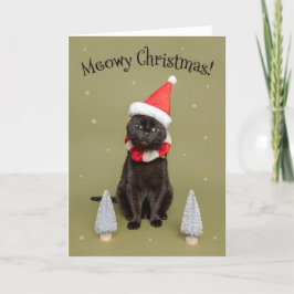 God Jul till någon Rolig katt i tomtehatt Helgkort
