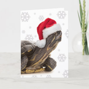 God Jul till någon Sköldpadda i tomtehatt Helgkort