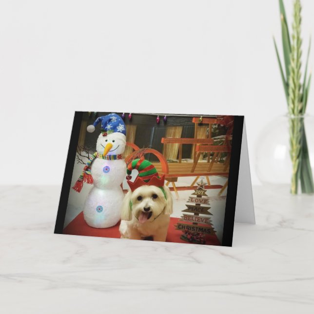 GOD JUL TILL VÅR HUND CARE GIVER HELGKORT (Framsida)