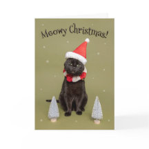 God Jul till vem som helst Rolig katt i tomtehatt 