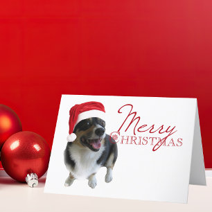 God jul Tricolor Corgi Santa Photo Helgkort