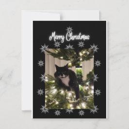 God jul, tuxikkatt på Julgran. Anteckningskort