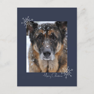 God jul tyska shepherd i Snö vykort
