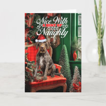 God jul, tyska Wirehair Pointer Naughty eller Nice