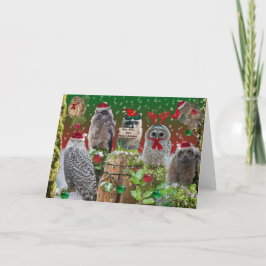 God jul Uggla med lite tvättbjörn Helgkort