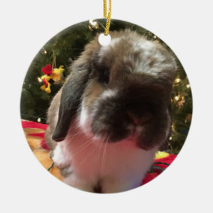 God jul varje bun! julgransprydnad keramik