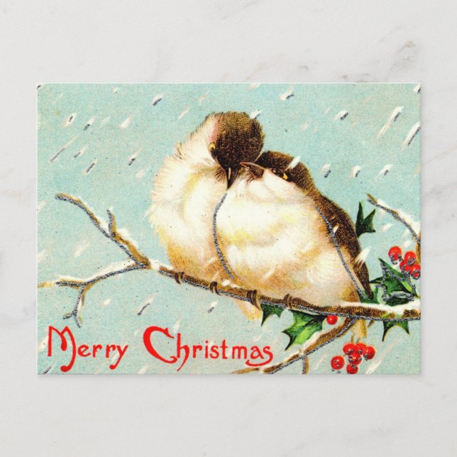 God jul Vintage Birds Postcard Helg Vykort (Framsida)