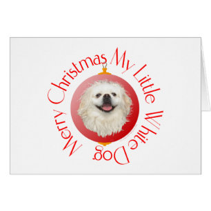 God Jul Vit Pekingese Hälsningskort