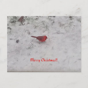 God jul! vykort