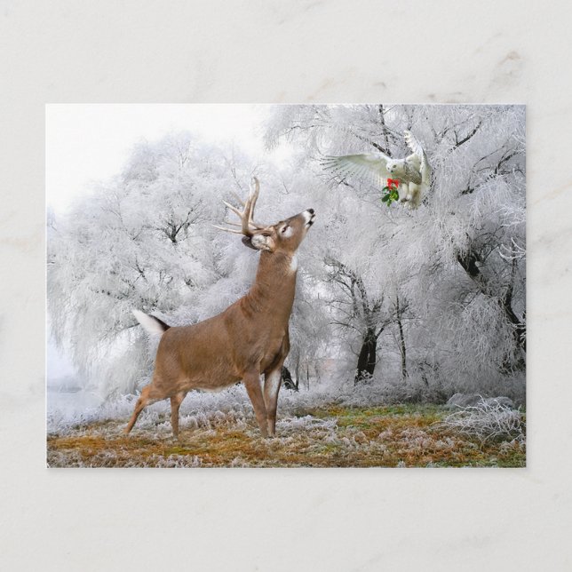 "God jul" vykort (Framsida)