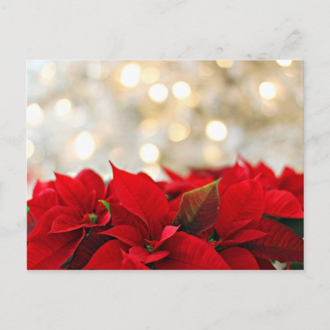 God jul vykort med blomsterlådor (Framsida)