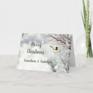 God jul Winter Frost Bird Grandföräldrar Helgkort