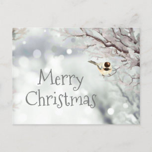 God jul Winter Frost Bird Helg Vykort
