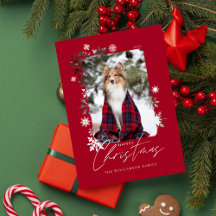 God jul Winter Snöflingor Family Photo