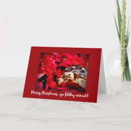 God jul ya baby sköldpadda Julafton Kort