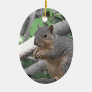 God jul ya nöt Funny Squirrel Julgransprydnad Keramik