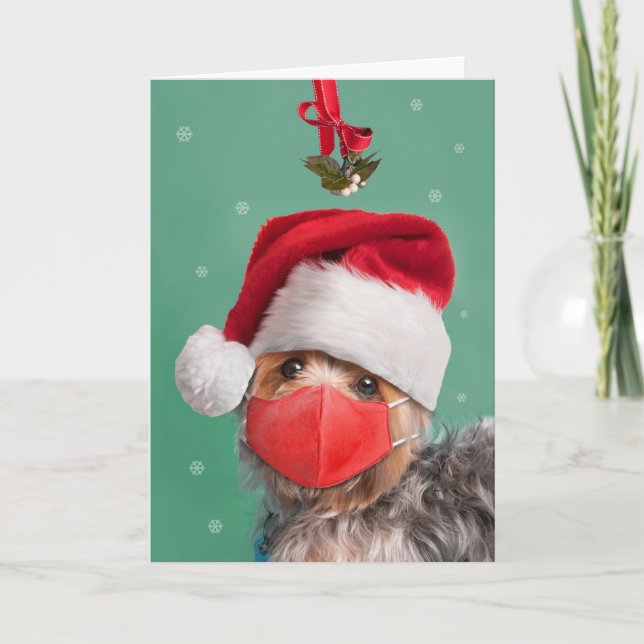 God jul Yorkshire Terrier i Ansikte Mask Helgkort (Framsida)