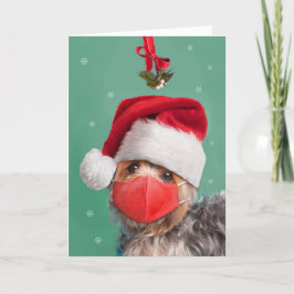 God jul Yorkshire Terrier i Ansikte Mask Helgkort