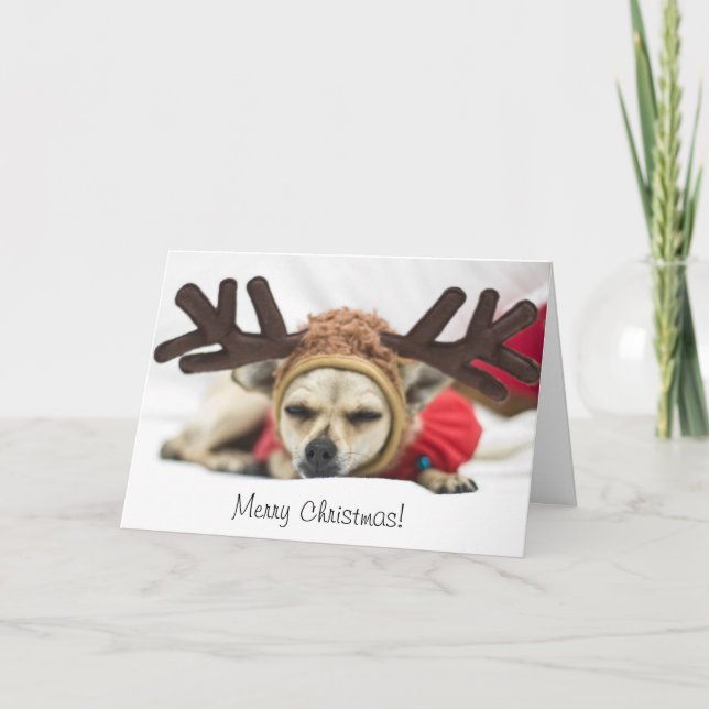 God julChihuahuaren Helgkort (Framsida)