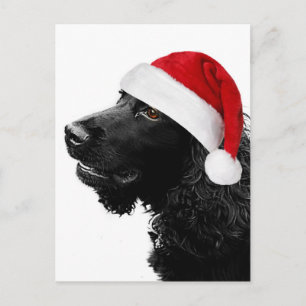 God julcockerspaniel helg vykort