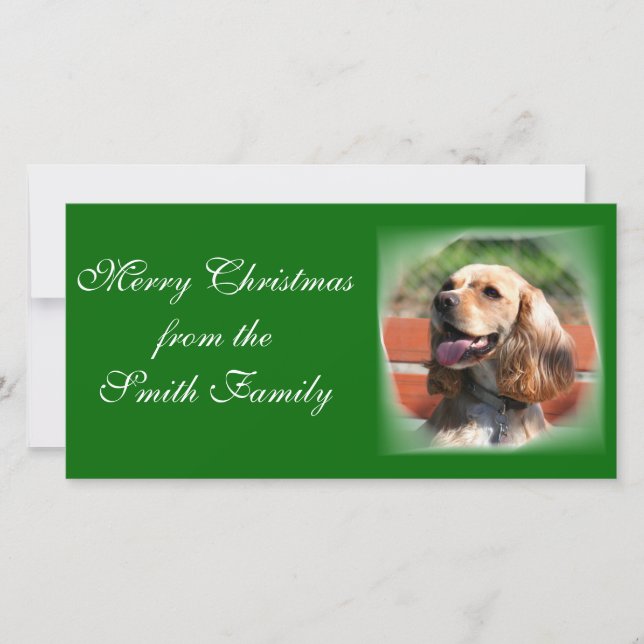 God julcockerspanielSpaniel Photocard Julkort (Framsida)
