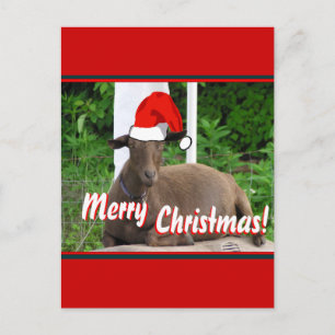 GOD JULGETHÄLSNINGAR HELG VYKORT