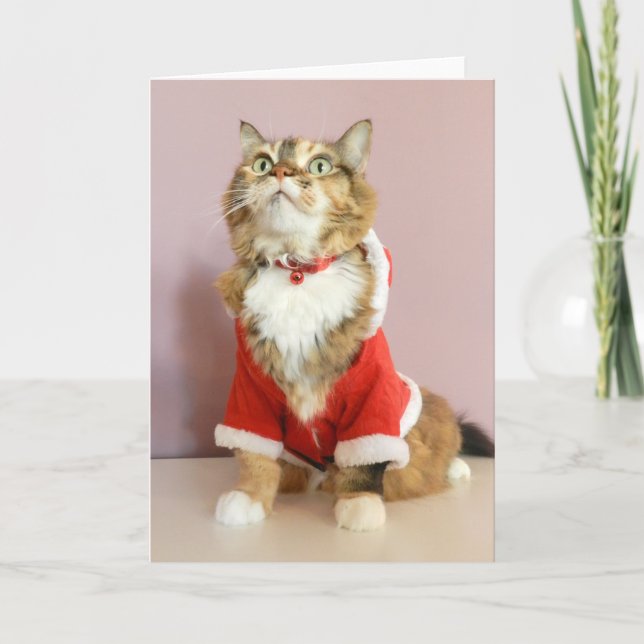 God julkattsanta kissekatt helgkort (Framsida)