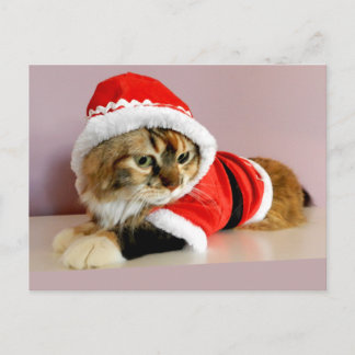 God julkattungeSanta kostym Helg Vykort