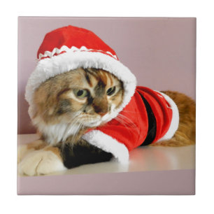 God julkattungeSanta kostym Kakelplatta