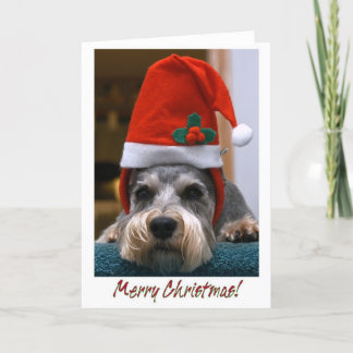 God julSchnauzer Helgkort