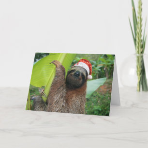 God julSloth Helgkort