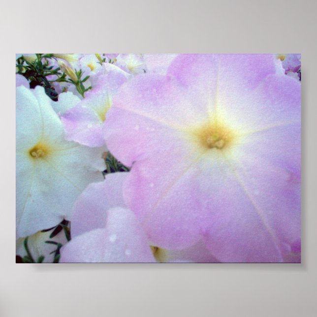 God Kisses Poster (Framsidan)