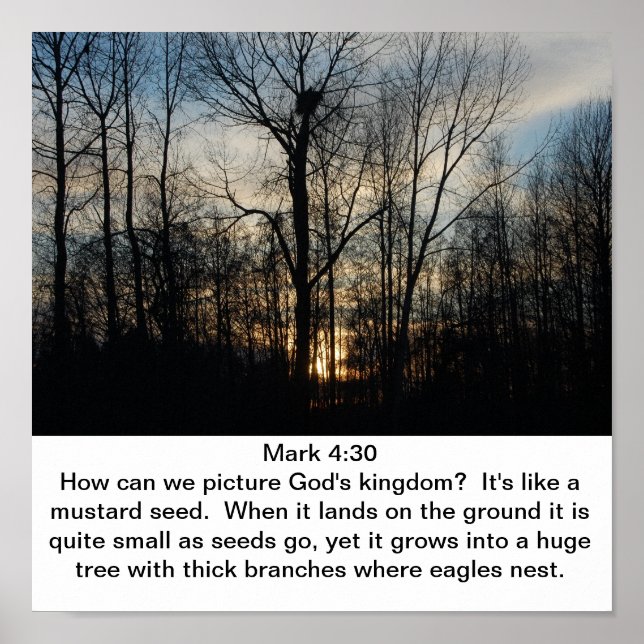 God Kungariket Nest Poster (Framsidan)