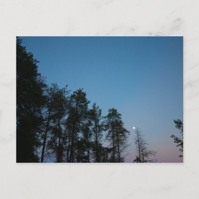 God kväll Himlar över Elk Sjö, Michigan Vykort (Framsida)