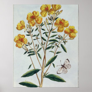 God kväll, tallrik 73 från "Collection Precie" Poster