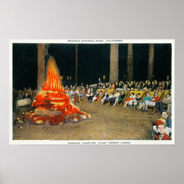God kväll vid Bonfire i Giant Forest Lodge Poster (Framsidan)