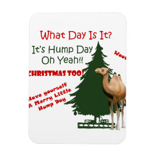 God Little Hump Day-jul Magnet
