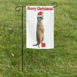 God Meerkat
